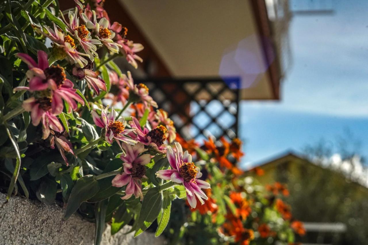 Agriturismo La Rocca سان بارتولومِيو آل ما المظهر الخارجي الصورة