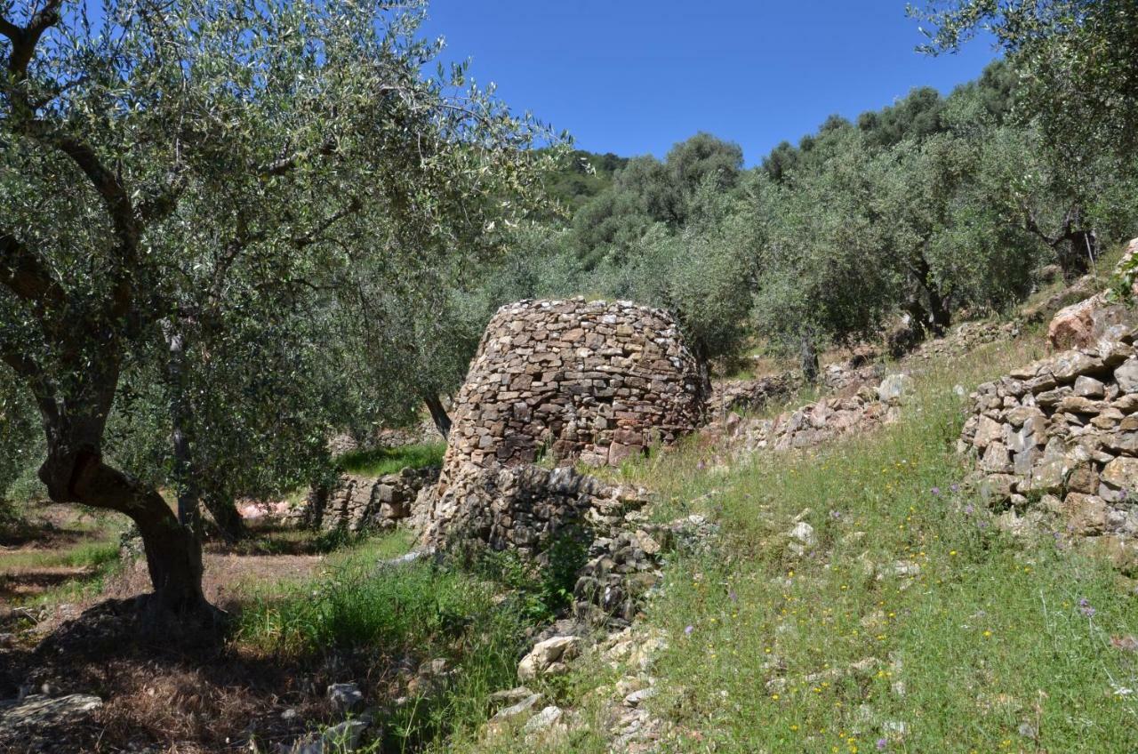 Agriturismo La Rocca سان بارتولومِيو آل ما المظهر الخارجي الصورة