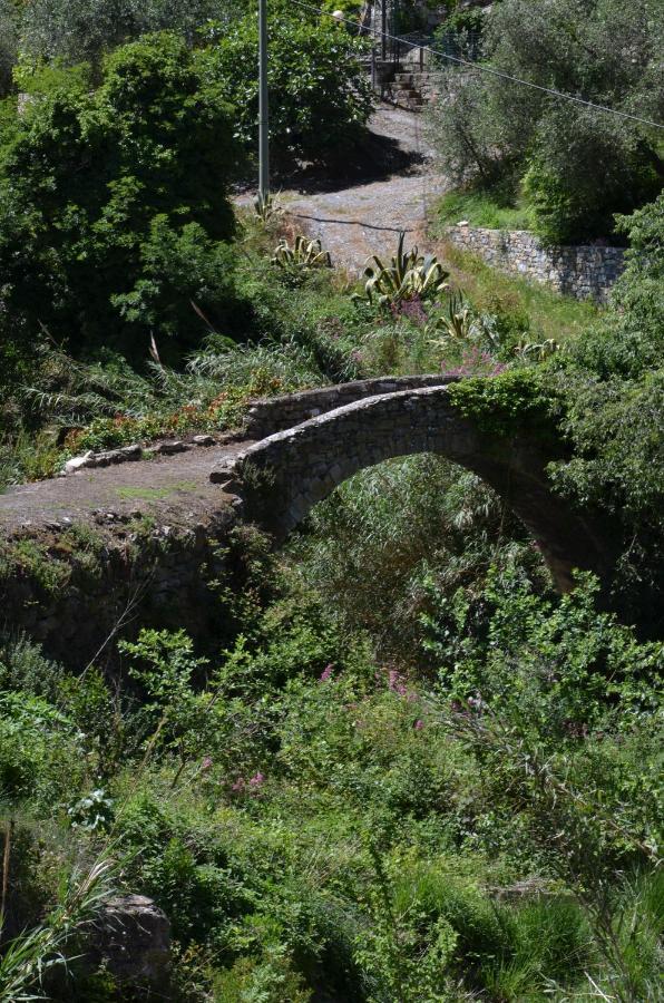 Agriturismo La Rocca سان بارتولومِيو آل ما المظهر الخارجي الصورة